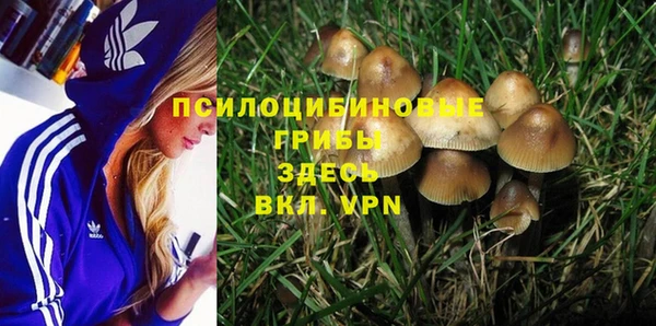 экстази Богданович