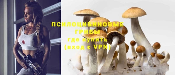 экстази Богданович