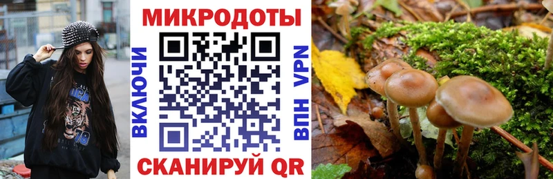 Псилоцибиновые грибы Psilocybine cubensis  Купить закладки  Тарко-Сале 
